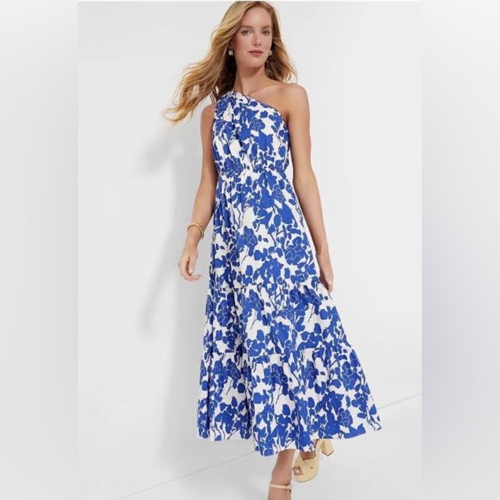 Tuckernuck Blue and White One-Shoulder Maxi Dress